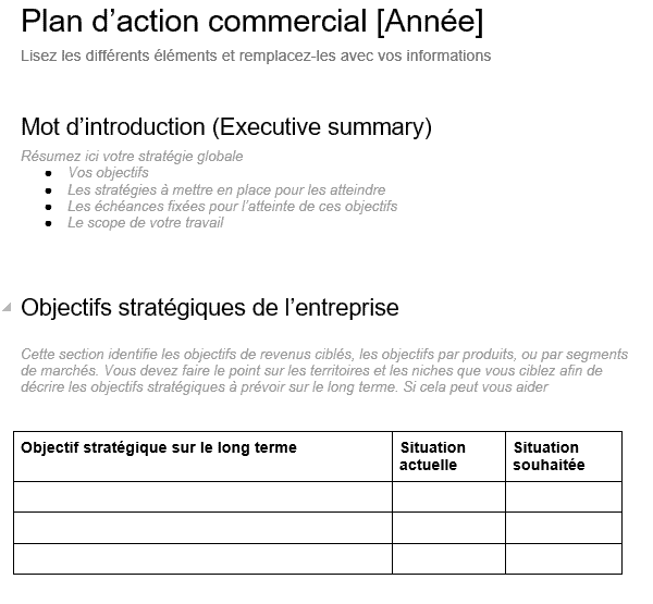 Modèle de plan d'action commercial